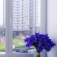 фото